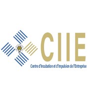 centre d'incubation et d'impulsion des entreprises de Thiès logo - Similar company to Managers Tools Business