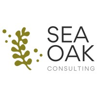 SEAOAK Consulting logo - Similar company to Hi-Viz