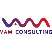 VAM Consulting logo - Similar company to Solutionbuggy
