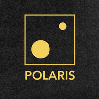 Polaris Safety logo - Similar company to Zim Connections
