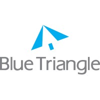 Blue Triangle logo - Similar company to Build Scale Oman