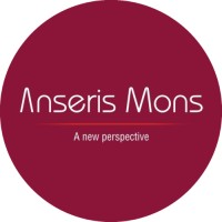 Anseris Mons logo - Similar company to Anseris
