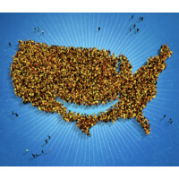 AGS Entertainment, Inc. logo - Similar company to The Array