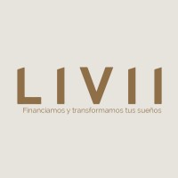 Livii logo - Similar company to Treasure Coast Data