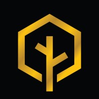 Nalexus Technologies logo - Similar company to Anza Tech