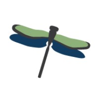 Dragonfly Psychological Associates logo - Similar company to Brightbloom Centers