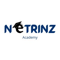 Netrinz logo - Similar company to Zero 2 Unikorn