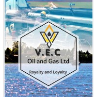Virgin Energy Concept Oil and Gas Limited logo - Similar company to Insurance Corridor