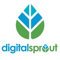 Digital Sprout logo - Similar company to Akintechs