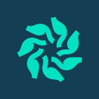 KODO GE logo - Similar company to Monedi Group