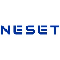 Neset Consulting Services