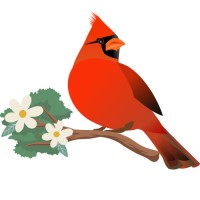 Coding Cardinal logo - Similar company to Codec (The Coding Club)