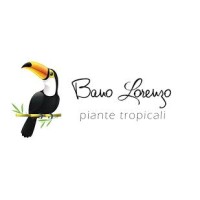 Bano Lorenzo piante tropicali logo - Similar company to Adtec Systems S.R.L.