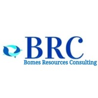 Bomes Resources Consulting (BRC) logo - Similar company to Gfams