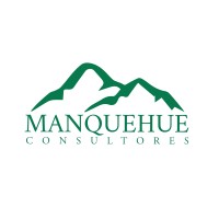 Manquehue Consultores logo - Similar company to Sunet