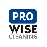 Prowise Cleaning