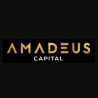 Amadeus Capital logo - Similar company to Amadeus Capital Sa