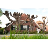 Café-Zalen-Restaurant Het Onland B.V. logo - Similar company to Kemperkip