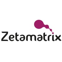 Zetamatrix logo - Similar company to Bilfen Biljet Roket Takımı