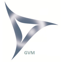 Global Vision Medical Est. logo - Similar company to Clemeq