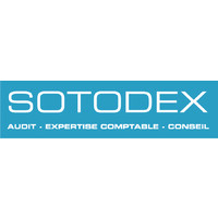 SOTODEX logo - Similar company to Sotodex Audit