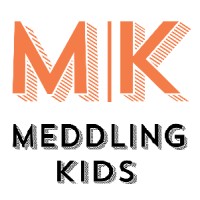 Meddling Kids