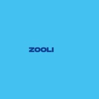 Zooli.ai logo - Similar company to Fetch Tech