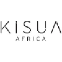 KISUA Africa logo - Similar company to Larry Computer Academy