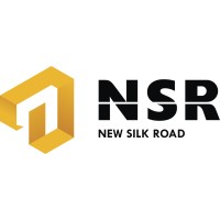 NSR GmbH logo - Similar company to Battlink