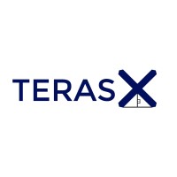 TerasX logo - Similar company to Selaras Group