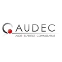AUDEC - AUDIT- EXPERTISE - COMMISSARIAT logo - Similar company to Valosys