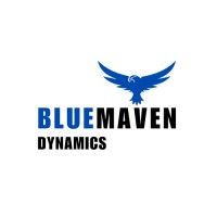 BlueMaven Dynamics logo - Similar company to North Node Capital