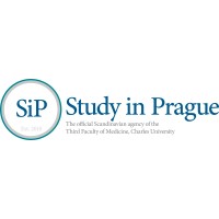 Study In Prague logo - Similar company to Study In Czechia