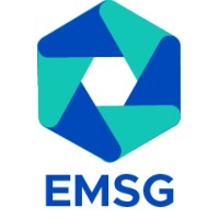 Công ty Công nghệ EMSG logo - Similar company to Smartnet Co., Ltd.