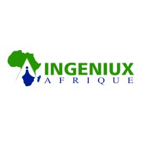 Ingeniux Afrique logo - Similar company to Datasmith Insights