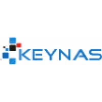 KEYNAS GROUP logo - Similar company to Tocan Soft