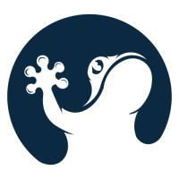 Big Frog Furniture logo - Similar company to Koplus International