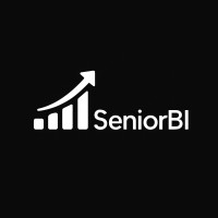 SeniorBi logo - Similar company to A  U  R  A  - S Y S T  E M S
