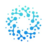 BSSIT logo - Similar company to Bss-It