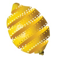 Lemon-Productions Ltd logo - Similar company to Black Tulip Asset Management