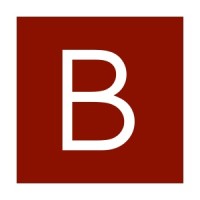 Bianconi Management Consulting logo - Similar company to Innodemia