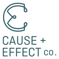 Cause + Effect Co logo - Similar company to Regional Tech Hub