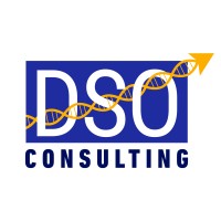 DSO Consulting logo - Similar company to The Dso Project
