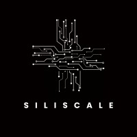 Siliscale logo - Similar company to Precision Innovations Inc