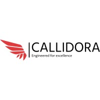 Callidora Technologies logo - Similar company to Tsoft Llc