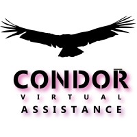 Condor Virtual Assistance logo - Similar company to Slater | Grant