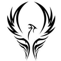 Phoenix di Majorana Fulvio logo - Similar company to Mandalay     (Enterprising Sustainable Growth)