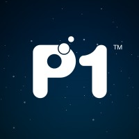 Packet One Networks (P1)