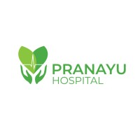 Pranayu Hospital logo - Similar company to Webbtechy