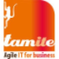Tamite IT Ltd logo - Similar company to Funding Unlocked
